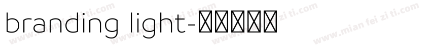 branding light字体转换